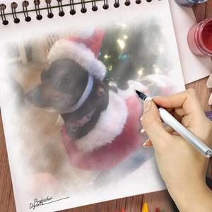 Meet your Posher, Donna